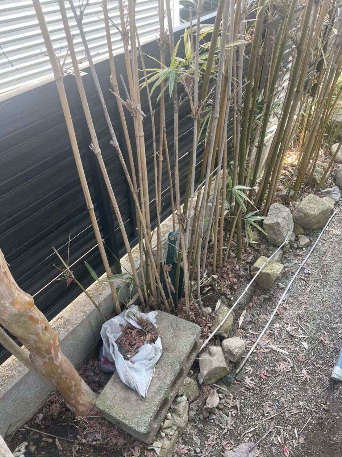 不用品回収 after