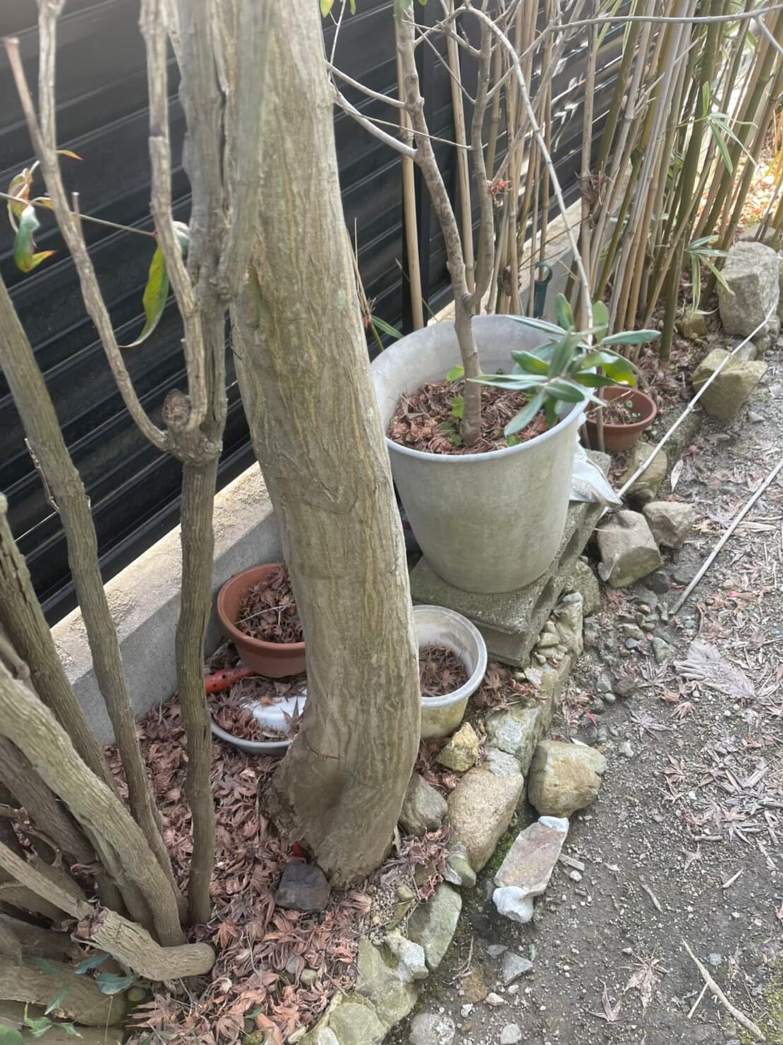 不用品回収 before