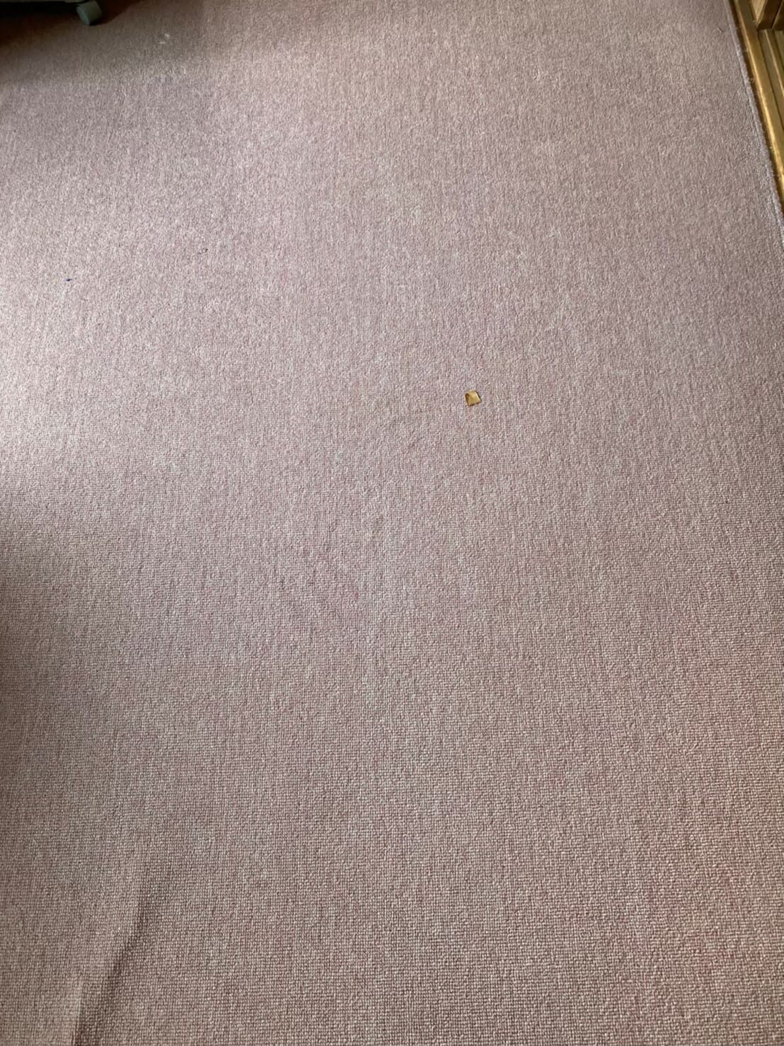 不用品回収 after