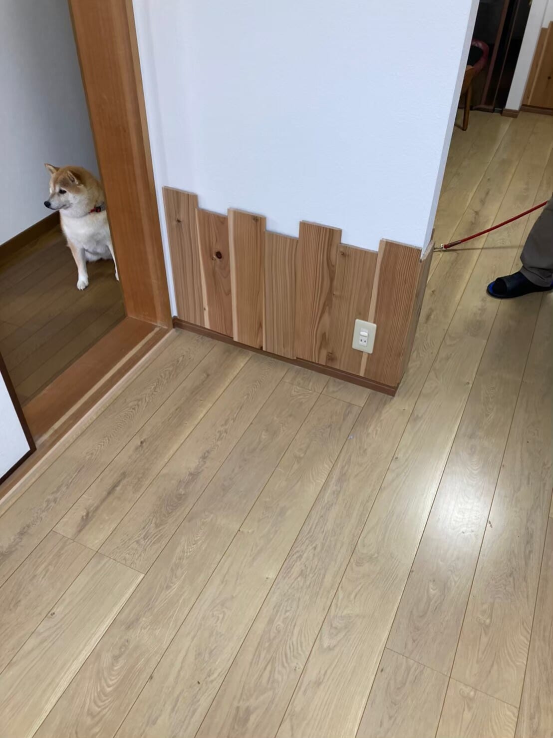 不用品回収 after