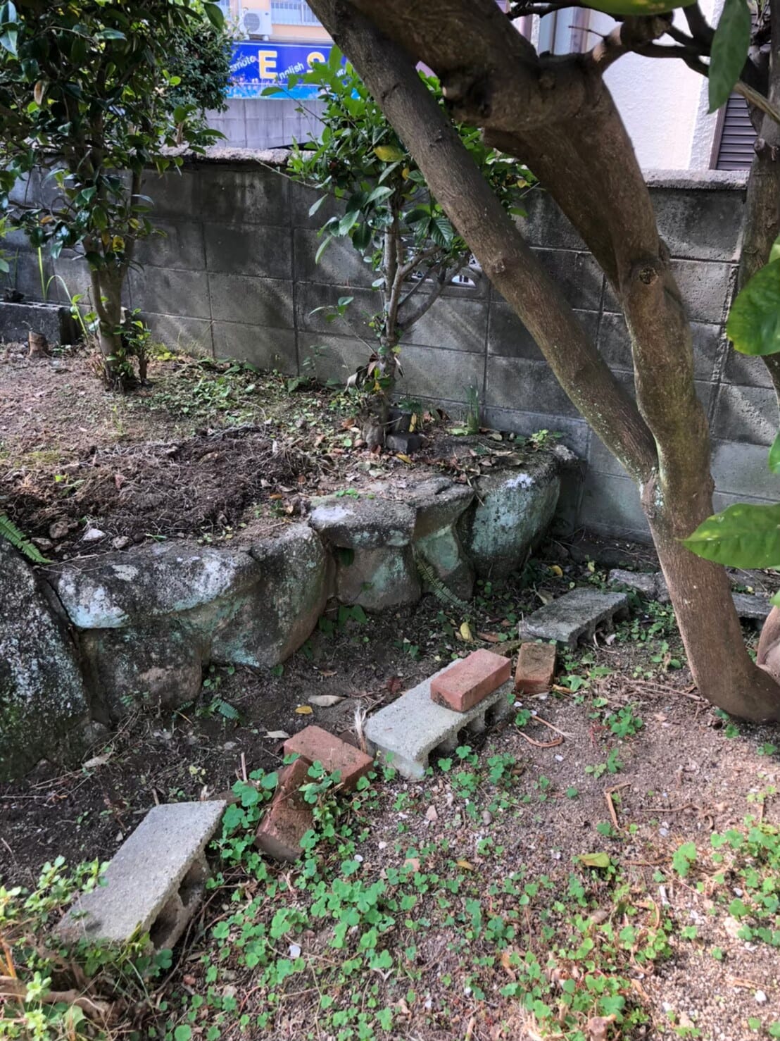 不用品回収 after