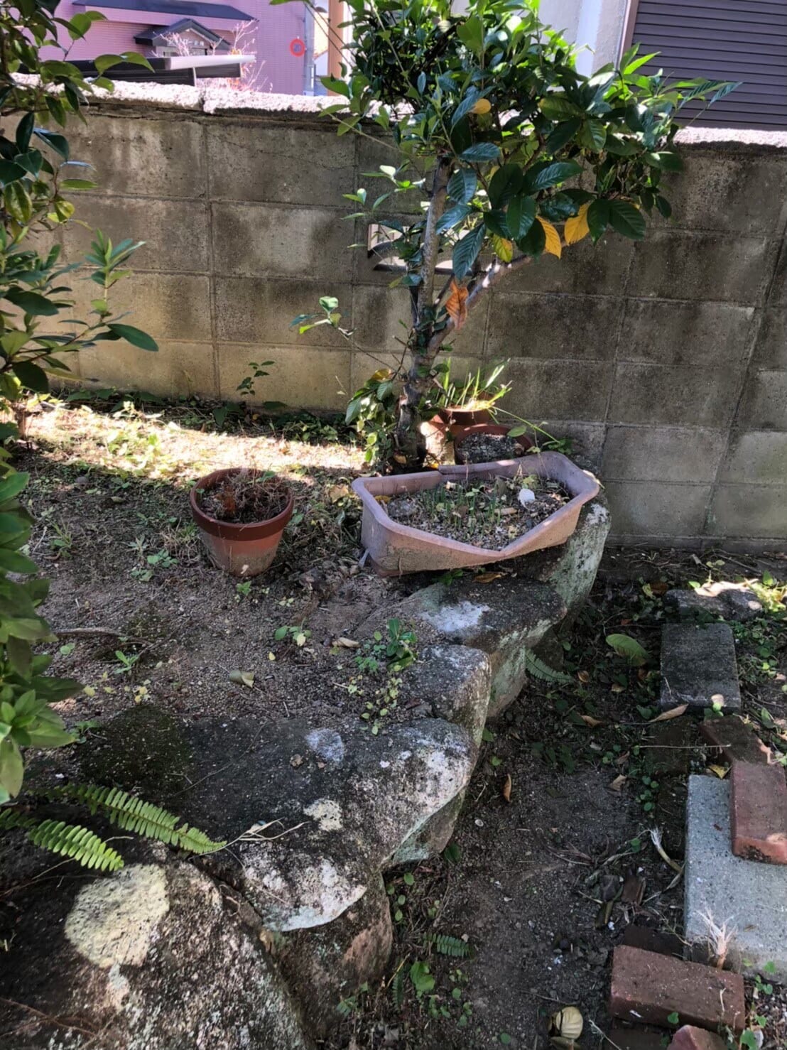 不用品回収 before