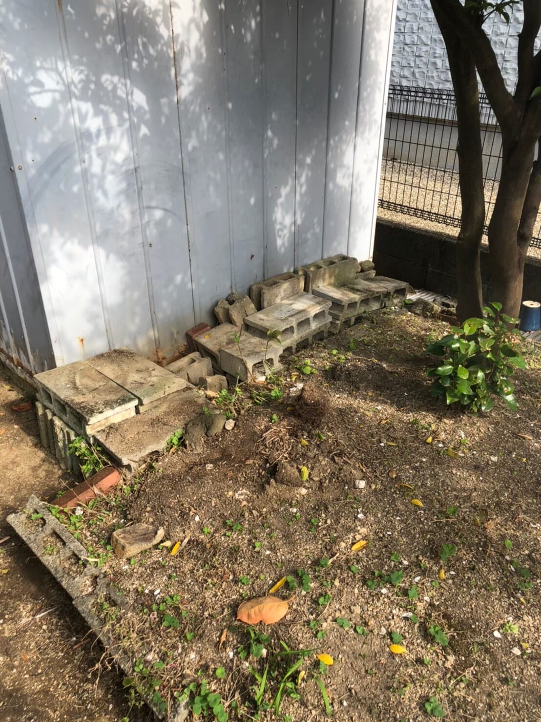 不用品回収 after