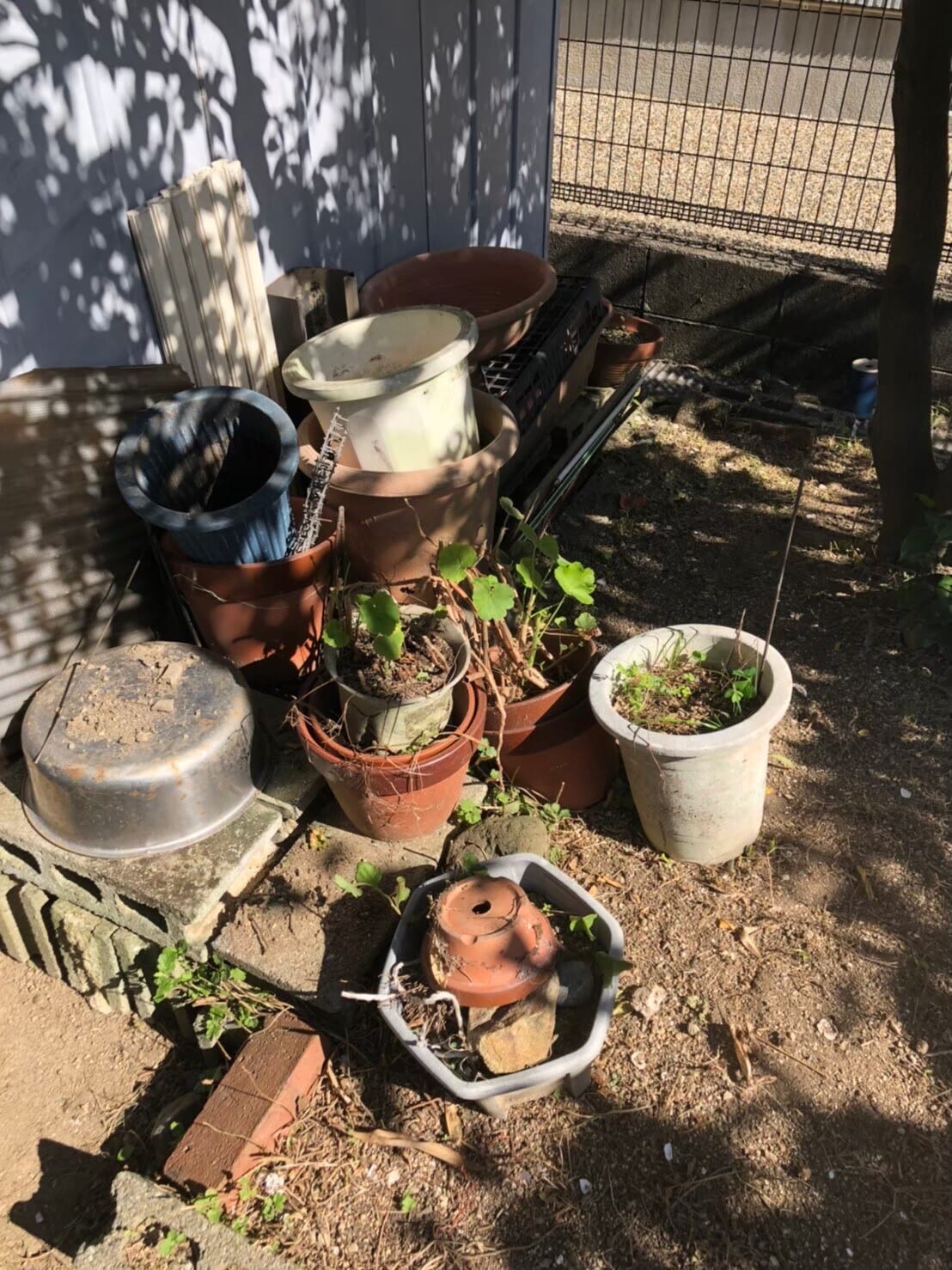 不用品回収 before