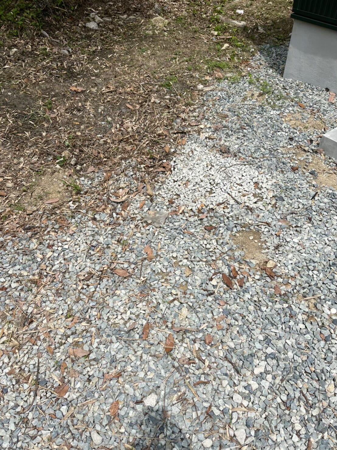 不用品回収 after