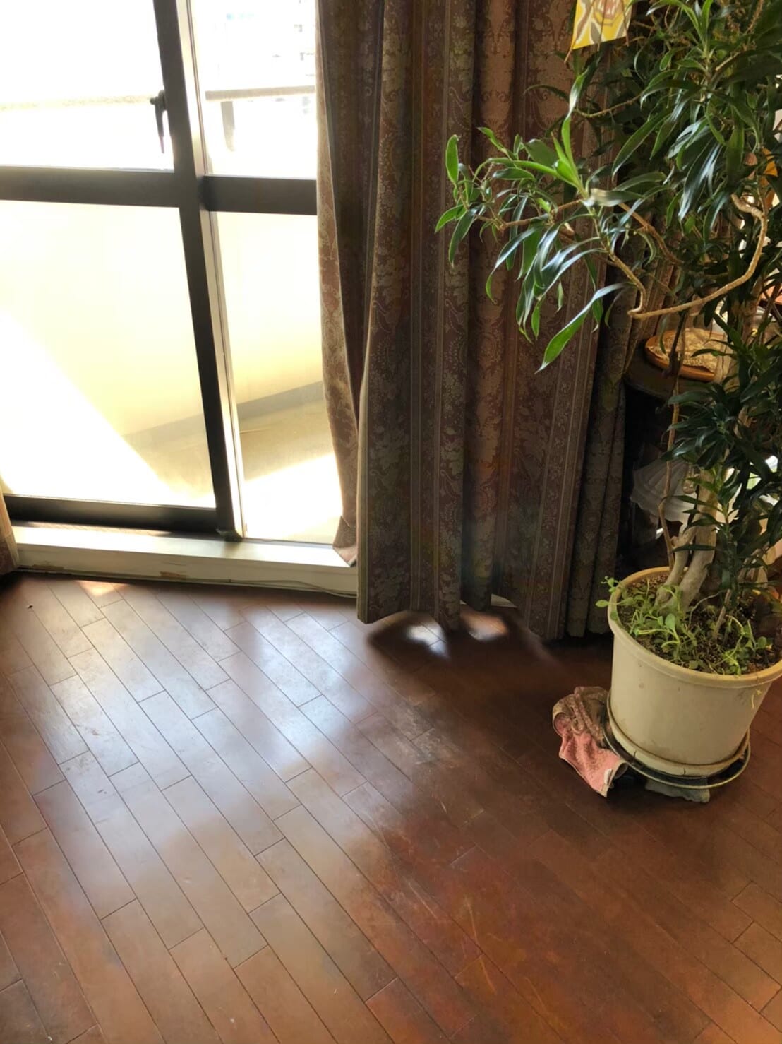 不用品回収 after