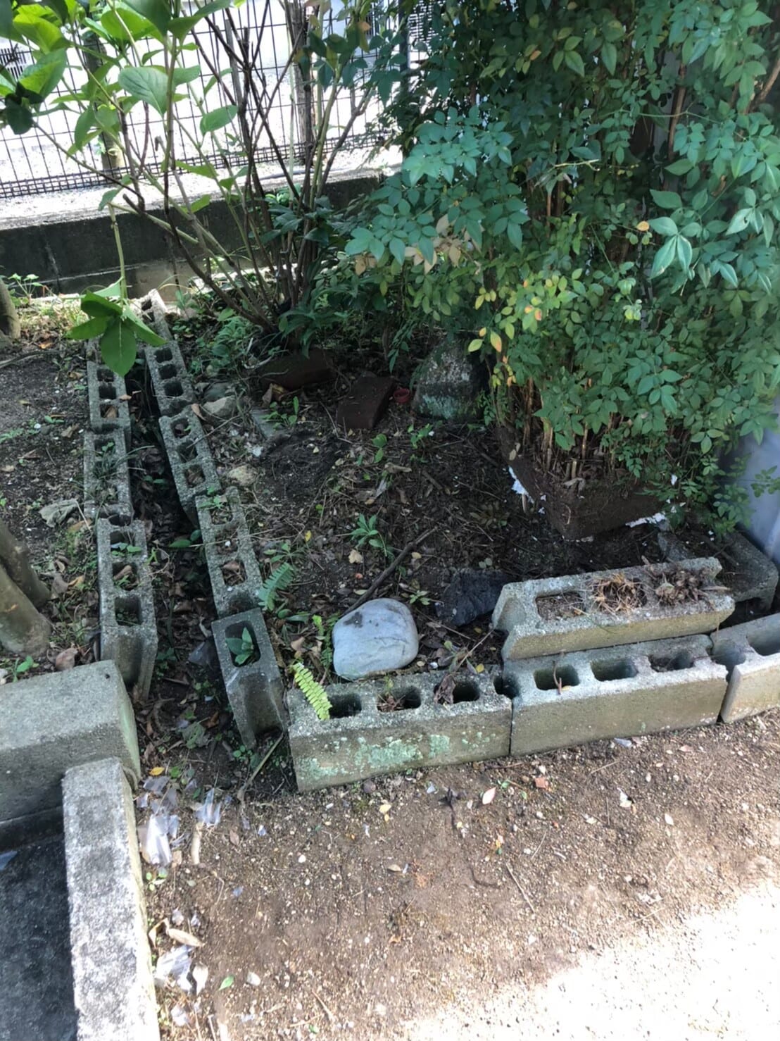 不用品回収 after