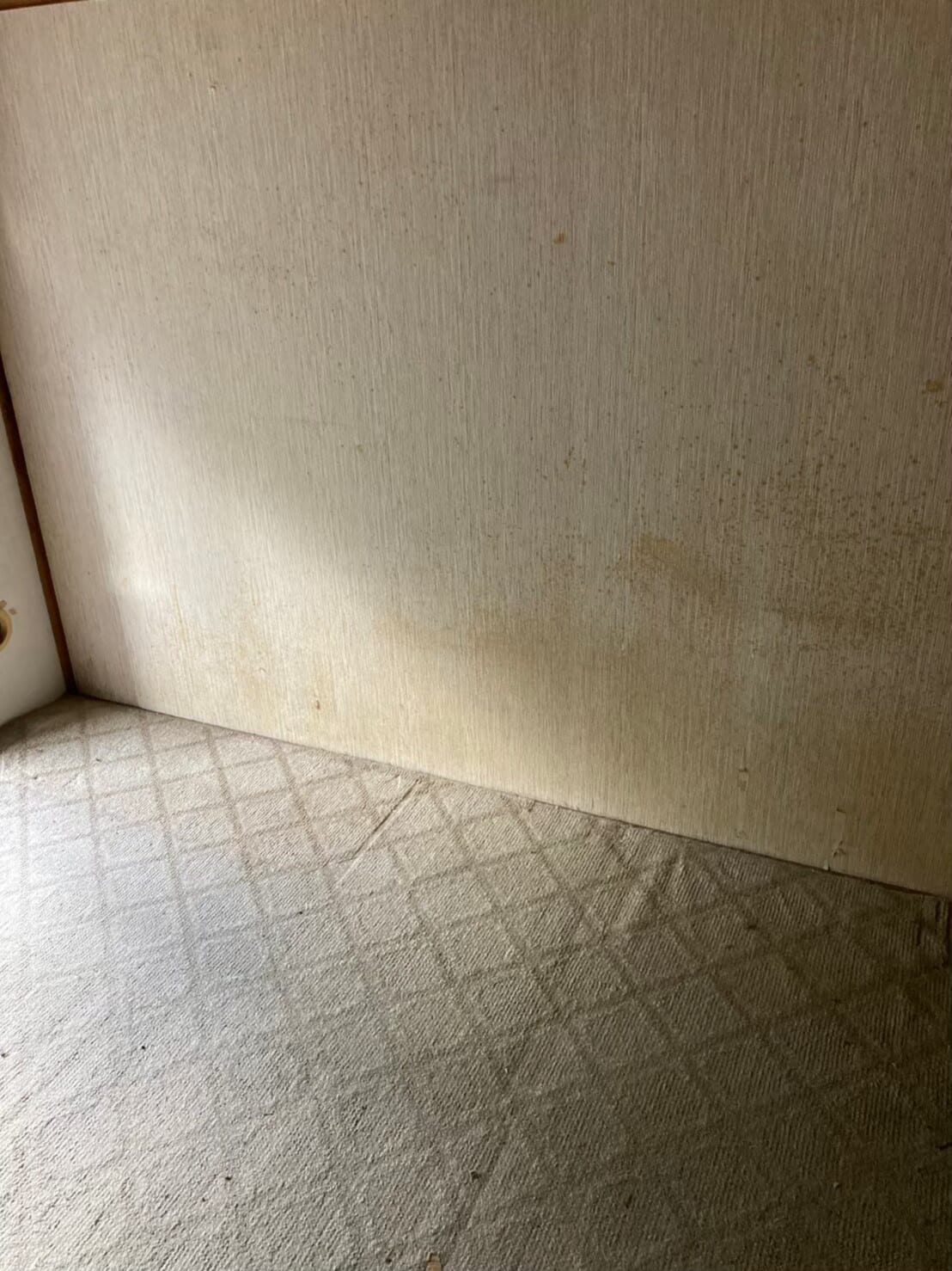 不用品回収 after