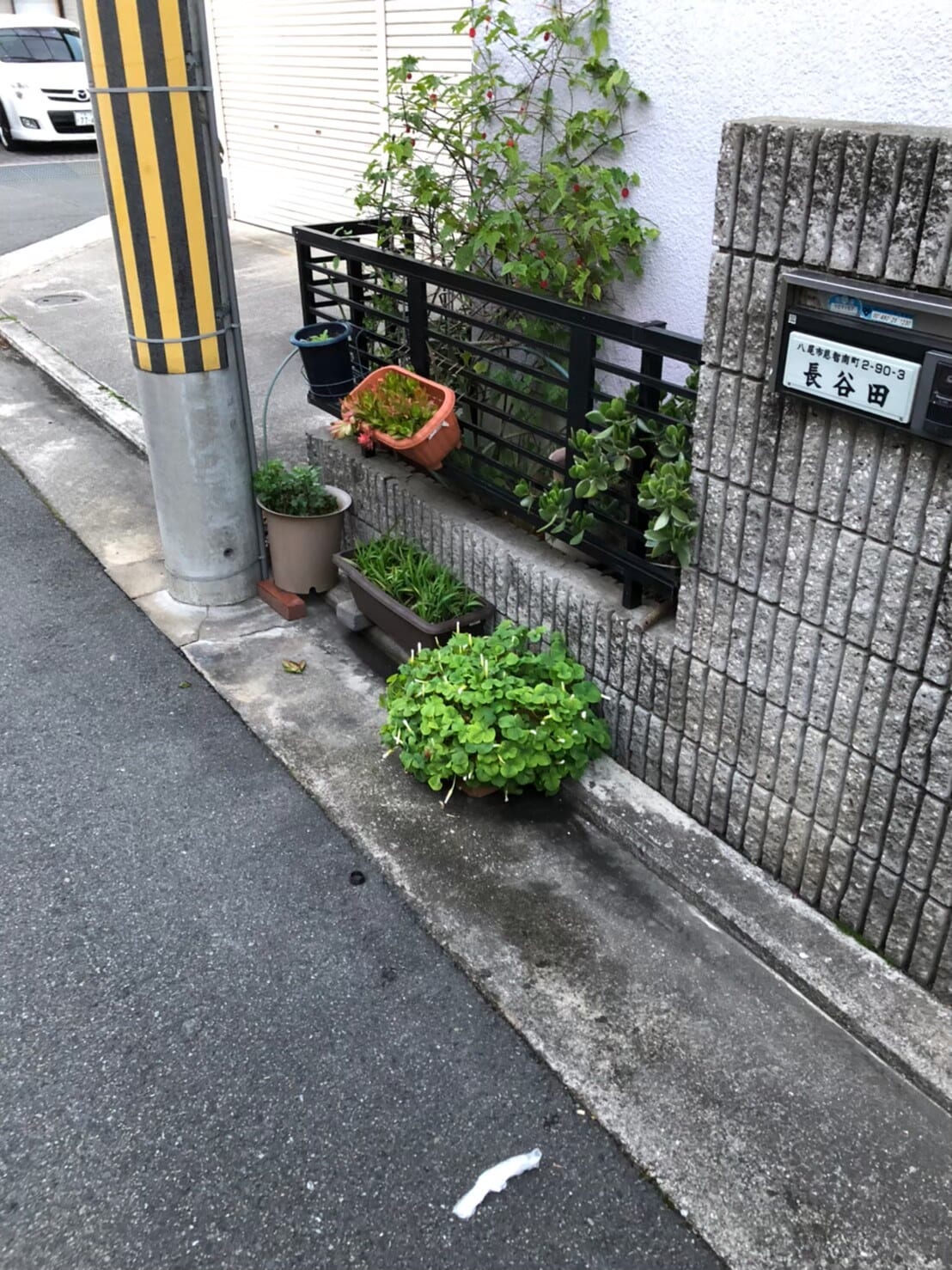 不用品回収 after