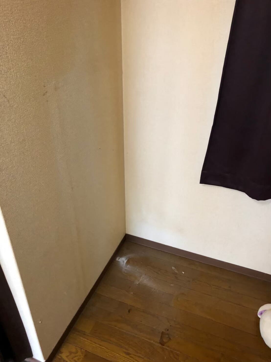 不用品回収 after