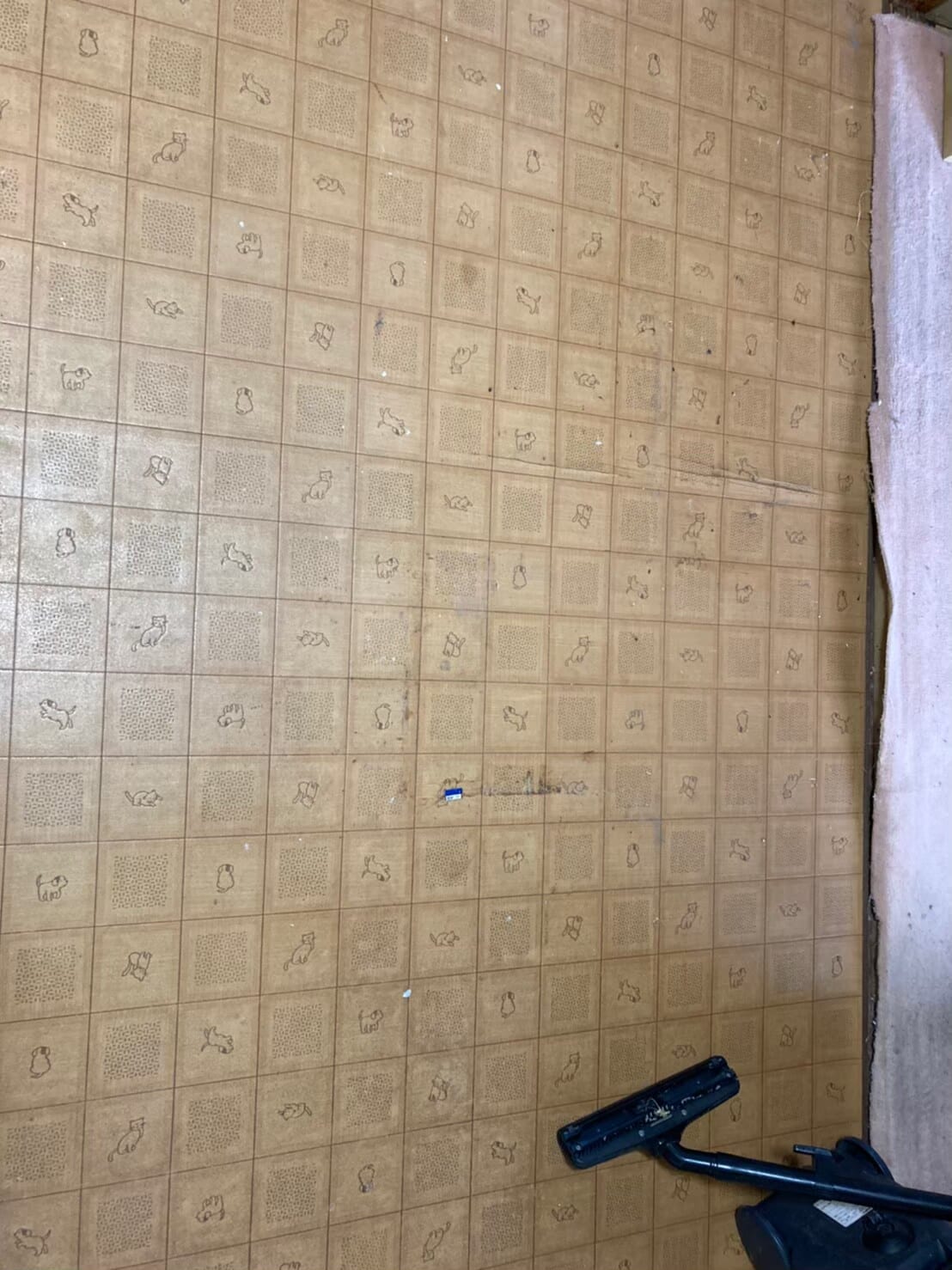 ゴミ屋敷・汚部屋 after