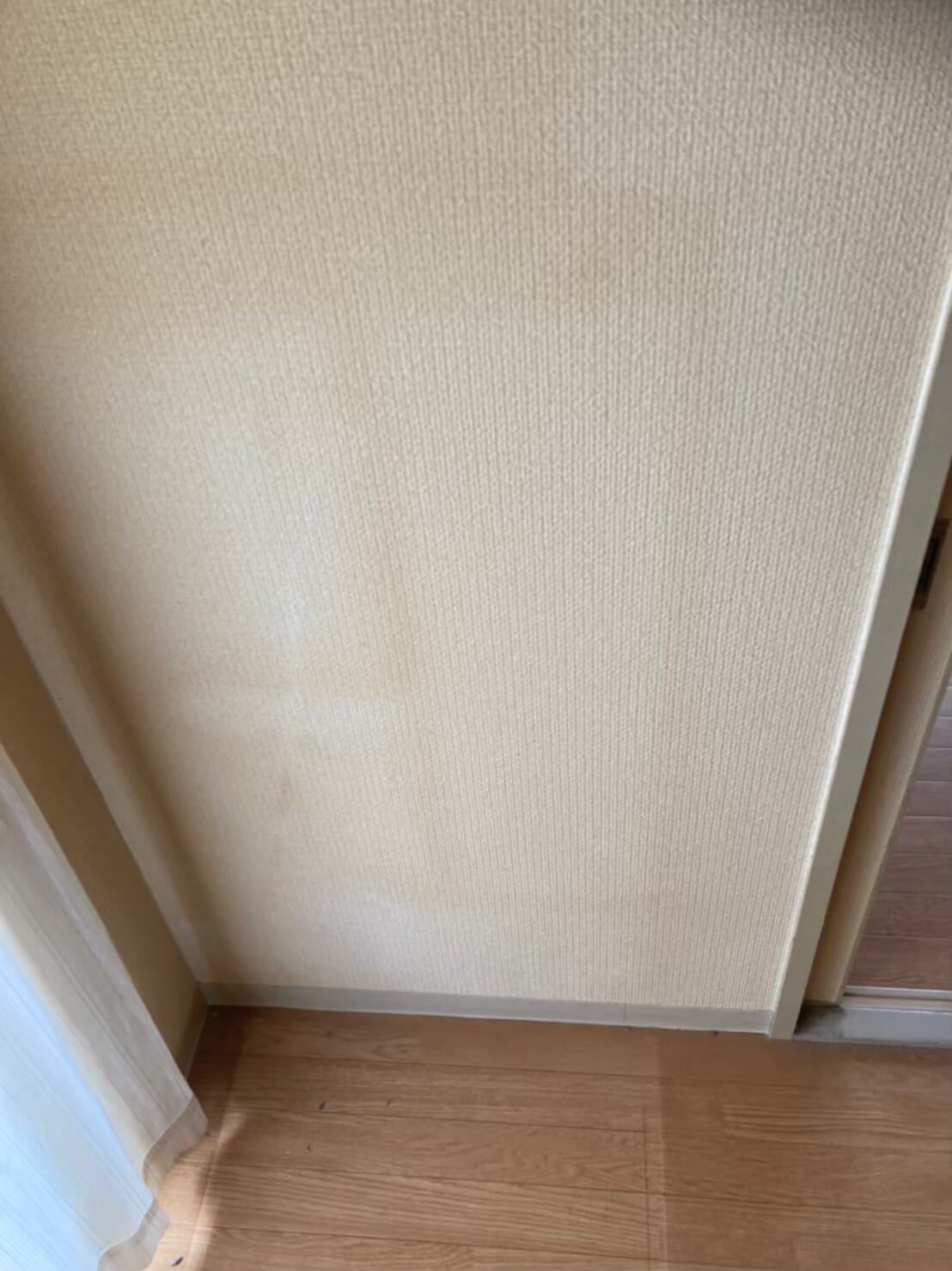 ゴミ屋敷・汚部屋 after