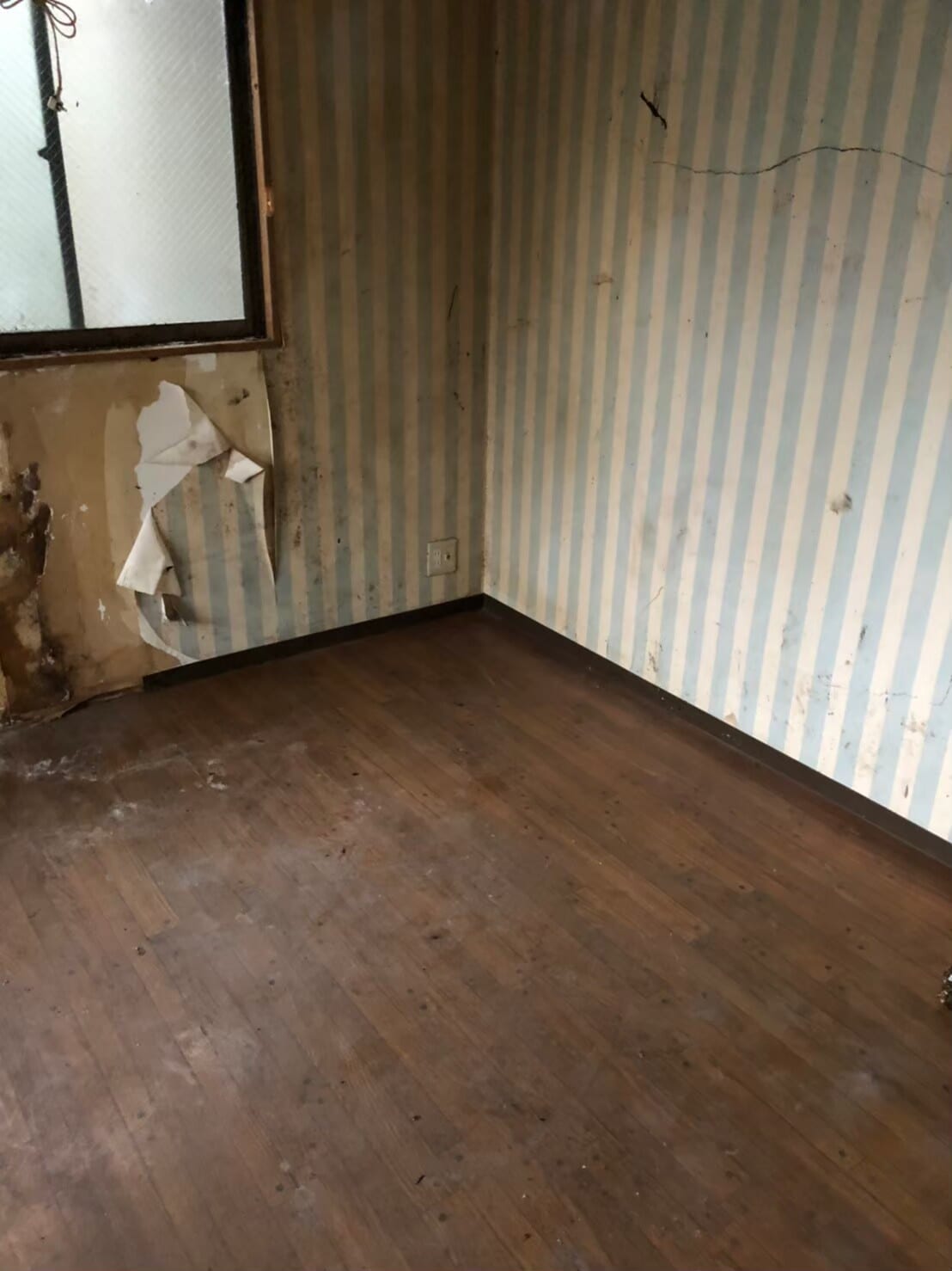 ゴミ屋敷・汚部屋 after