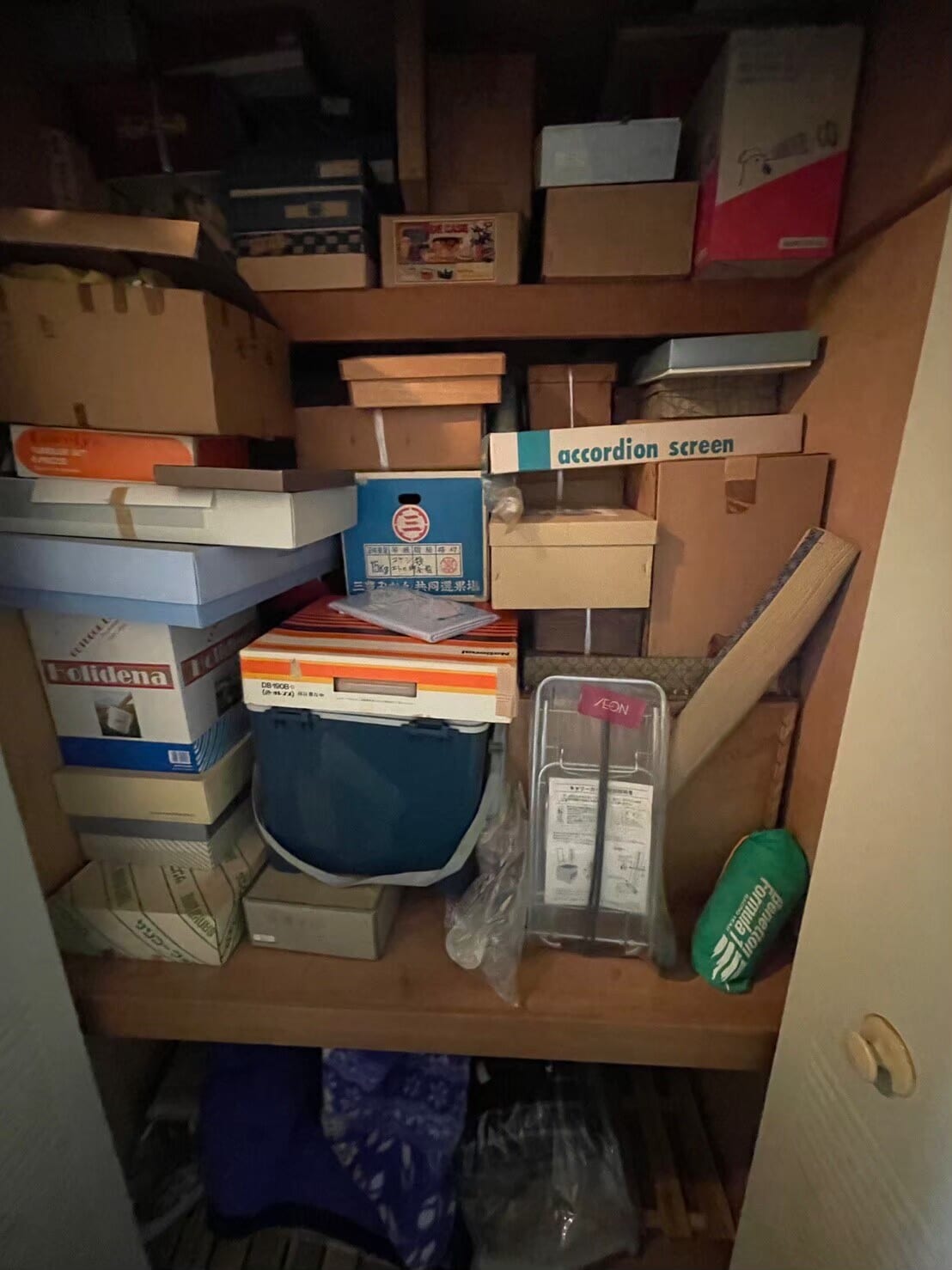 ゴミ屋敷・汚部屋 before