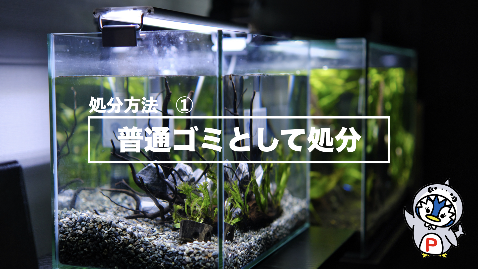 この記事は必見！】水槽の処分方法：リサイクルから専門業者まで ...